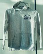 Hoodie/Trui Skate Nation Maat 146-152 Grijs Als nieuw, Kinderen en Baby's, Kinderkleding | Maat 146, Ophalen of Verzenden, Zo goed als nieuw