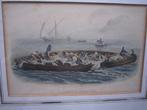 2 Mooie Kleuren gravures van het Vissen op tonijn, Antiek en Kunst, Kunst | Etsen en Gravures, Ophalen of Verzenden