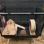 Hamster Kooi Compleet Goedkoper!, Ophalen