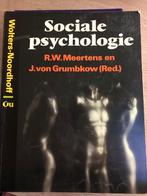Sociale Psychologie - R.W. Meertens, Ophalen of Verzenden, Gamma, Zo goed als nieuw, HBO