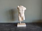 Beeld torso man, Antiek en Kunst, Ophalen of Verzenden