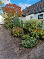 Tuinman aangeboden, Ophalen of Verzenden, Nieuw