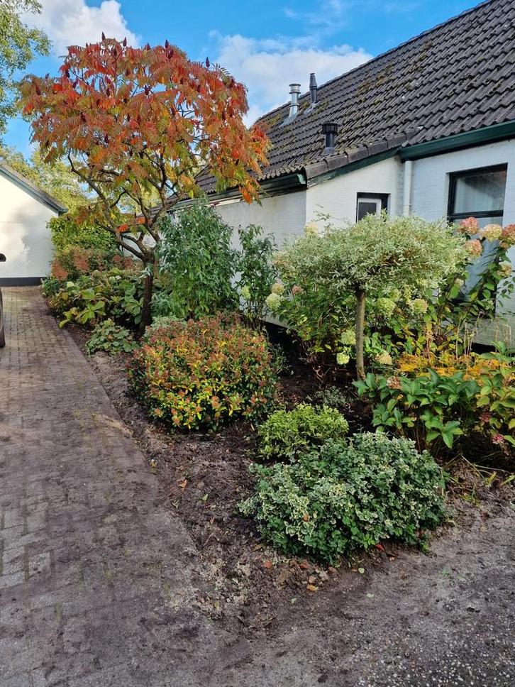 Tuinman aangeboden, Tuin en Terras, Overige Tuin en Terras, Nieuw, Ophalen of Verzenden