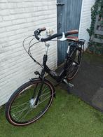 Gazelle Bloom C7 - Framemaat 49cm, Ophalen