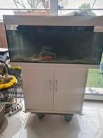 Juwel aquarium 100x40 met werkend verlichting, Dieren en Toebehoren, Vissen | Aquaria en Toebehoren, Ophalen, Leeg aquarium