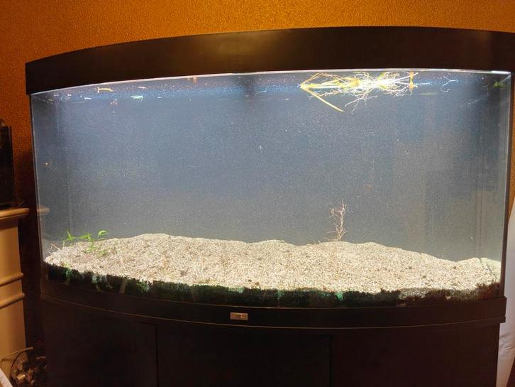 Juwel Vision 260 Aquarium, Dieren en Toebehoren, Vissen | Aquaria en Toebehoren, Gebruikt, Leeg aquarium, Ophalen