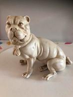 Rudolstadt - Bulldog, Ophalen of Verzenden, Gebruikt, Dier
