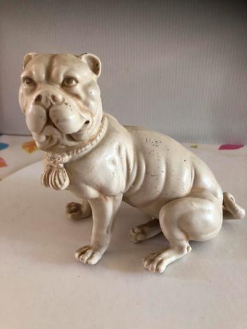 Rudolstadt - Bulldog beschikbaar voor biedingen