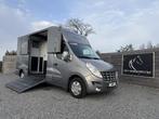 Renault Master PAARDENWAGEN | HORSETRUCK | MTM | STALLION 3X
