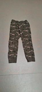 Dino kinder pajama broek, Ophalen, Zo goed als nieuw, Maat 46 (S) of kleiner, Groen