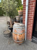 Regenton | nieuw | kastanjehout, Tuin en Terras, Regentonnen, 150 liter of meer, Ophalen, Zo goed als nieuw, Kunststof