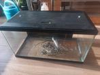 Aquarium, Dieren en Toebehoren, Vissen | Aquaria en Toebehoren, Ophalen, Gebruikt, Leeg aquarium