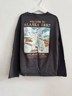 zara shirt 152 alaska bijna nieuw, Ophalen of Verzenden, Zo goed als nieuw, Jongen of Meisje, Shirt of Longsleeve