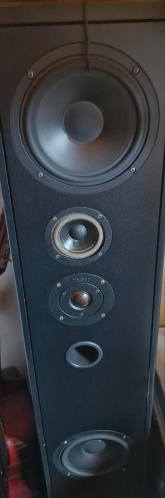 magnat boxen M8 MKII, Audio, Tv en Foto, Luidsprekers, Gebruikt, Front, Rear of Stereo speakers, 120 watt of meer, Magnat, Ophalen
