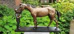 MEISJE MET PAARD / Bronzen beeld, Ophalen of Verzenden, Nieuw, Paard, Beeldje of Figuurtje