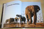 Steve Bloom Elephants 117 photographies couleurs, Gelezen, Ophalen of Verzenden