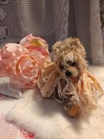 Mooie.oude zotty beer, Ophalen of Verzenden