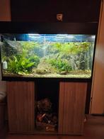 Aquarium, Dieren en Toebehoren, Vissen | Aquaria en Toebehoren, Ophalen, Zo goed als nieuw, Leeg aquarium