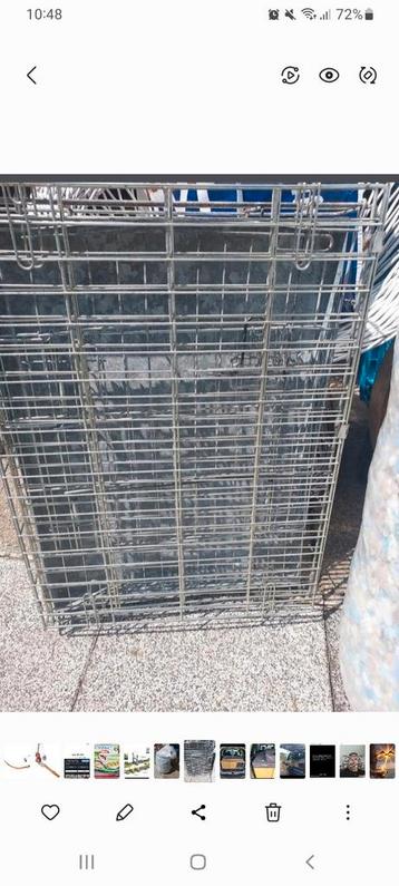 Bench hond beschikbaar voor biedingen