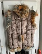 Daite Bodywarmer Maat 36 (S) - Zo goed als nieuw!, Kleding | Dames, Bodywarmers, Ophalen of Verzenden, Zo goed als nieuw, Maat 36 (S)