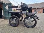 Marathonwagen merk Kühnle Kutschen, Ophalen of Verzenden, Zo goed als nieuw, Recreatie