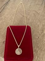 Mooie 14 karaat gouden ketting met hanger, Met hanger, -, -, Nieuw