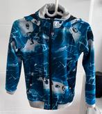 Molo softshell jas / maat 152, Molo, Ophalen of Verzenden, Zo goed als nieuw, Jongen