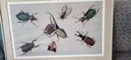 *LIMITED* Print 7/20, Hans Verhoef (1980) compostion, Ophalen, Minder dan 50 cm, Zo goed als nieuw, Minder dan 50 cm