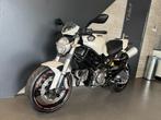 Ducati  Monster 696, Motoren, Motoren | Ducati, Bedrijf, 696 cc