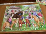 Jumbo puzzel 1000 stukjes, Ophalen of Verzenden, Meer dan 50 stukjes, Zo goed als nieuw, 6 jaar of ouder