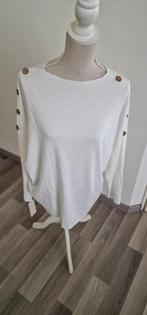 13)Te koop nieuw wolwit truitje 1 maat ongeveer maat 48, Wit, Trui of Vest, Nieuw, Ophalen of Verzenden
