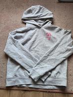 Hoodie / sweater / trui maat xs amy&ivy (sting), Nieuw, Ophalen of Verzenden, Amy & Ivy, Maat 34 (XS) of kleiner