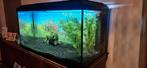 Aquarium Juwel 110, Ophalen, Gebruikt, Gevuld zoetwateraquarium