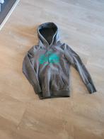 Superdry Hoodie Grijs XS, Superdry, Ophalen of Verzenden, Zo goed als nieuw, Maat 34 (XS) of kleiner