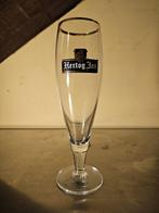 Verschillende bierglazen, Ophalen, Gebruikt, Glas of Glazen, Overige merken