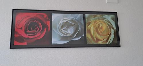 Rozen print wanddecoratie, Huis en Inrichting, Woonaccessoires | Schilderijen, Tekeningen en Foto's, Zo goed als nieuw, Print