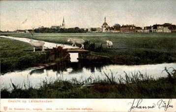 Leidschendam - Kerk - Schapen beschikbaar voor biedingen
