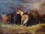 schilderij Pferde im Sturm naar Alfred Roloff, Antiek en Kunst, Ophalen