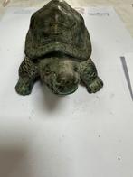 Bronze schilpad groot 12€, Ophalen of Verzenden