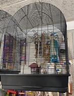 Vogelkooi Big Lucie zwart 54 x 34 x 75cm - Parkietenkooi, Dieren en Toebehoren, Vogels | Hokken en Kooien, Ophalen, Nieuw, Vogelkooi