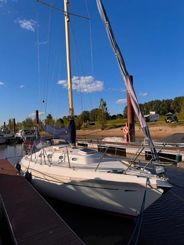 Boemerang 29  beschikbaar voor biedingen