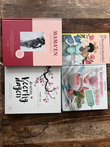 Pakket boeken zwangerschap & babyverzorging (4 stuks) beschikbaar voor biedingen