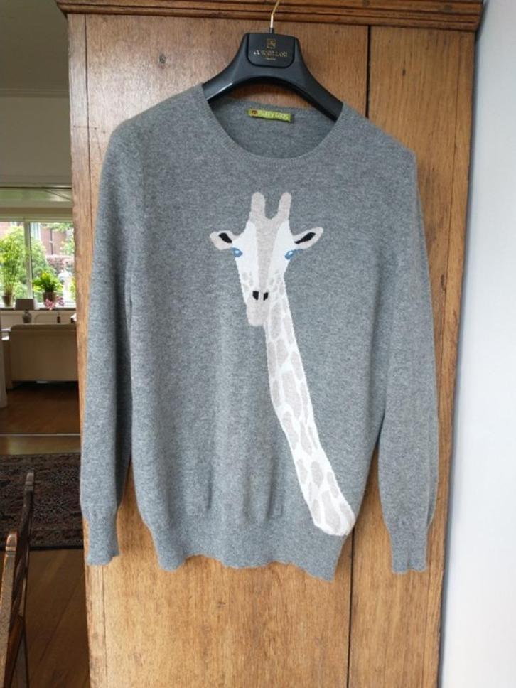 Grijze , damestrui met giraf 100% kasjmier mt, Kleding | Dames, Truien en Vesten, Nieuw, Maat 38/40 (M), Grijs, Ophalen of Verzenden