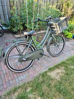 Cortina u4 24inch, Fietsen en Brommers, Fietsen | Meisjes, Ophalen, Zo goed als nieuw, 24 inch, Versnellingen