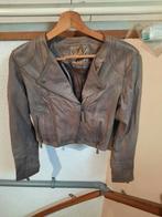 Biker jas maat m, Maat 38/40 (M), Overige kleuren, Ophalen of Verzenden, Zo goed als nieuw