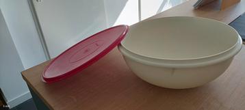 Grote Tupperware Kom - 31cm beschikbaar voor biedingen