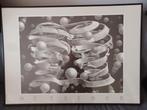 Escher Bond of Union Prent met Lijst, Antiek en Kunst, Kunst | Litho's en Zeefdrukken, Ophalen