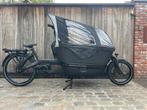 ::GAZELLE:: Makki Travel Connect Cargoline 800Wh bakfiets, Versnellingen, Nieuw, 49 tot 53 cm, Ophalen of Verzenden