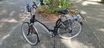 Batavus Padova easy royal Elektrisch - Gereviseerde Accu, Ophalen, Batavus, Zo goed als nieuw, 51 tot 55 cm