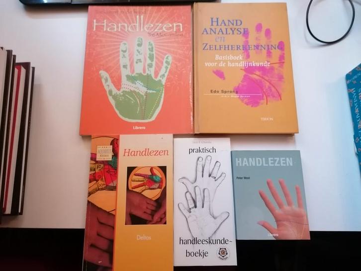 5-VIJF Handanalyse en zelfherkenning Alles in de hand 5X DUS, Boeken, Overige Boeken, Zo goed als nieuw, Ophalen